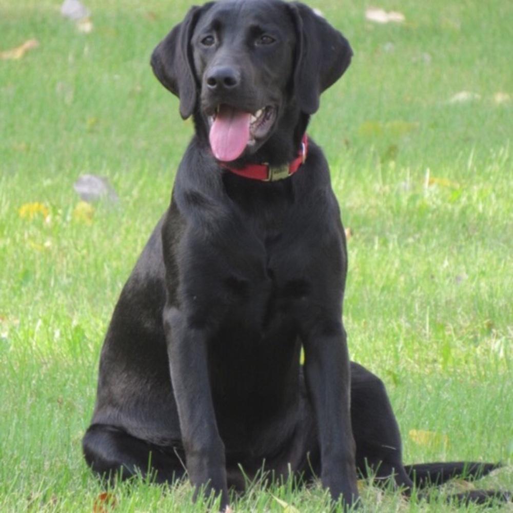 Meet your Posher, Eva